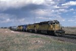 UP 3602 near Laramie